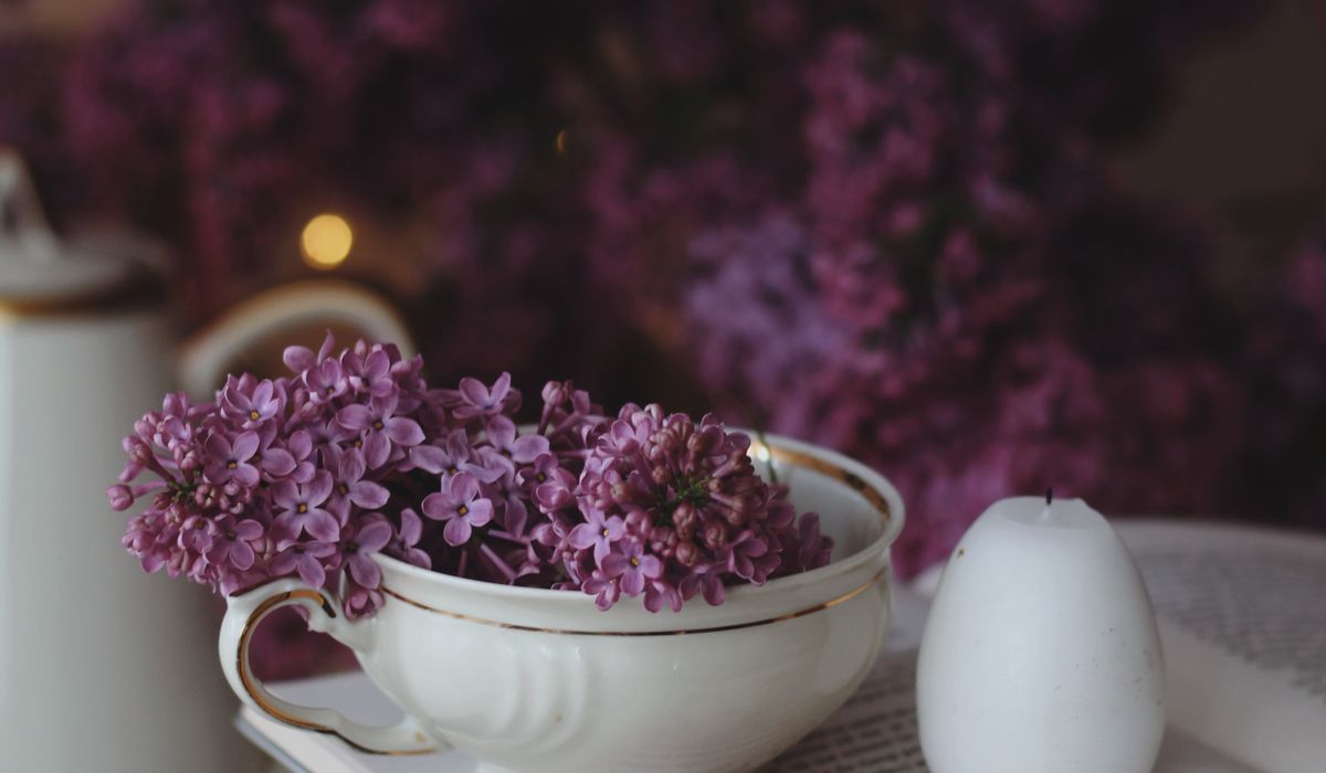 A Guide to Cosy Crime Novels for Winter Evenings