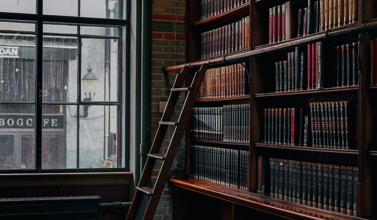 Simple Ways to Protect Your Books from Damp