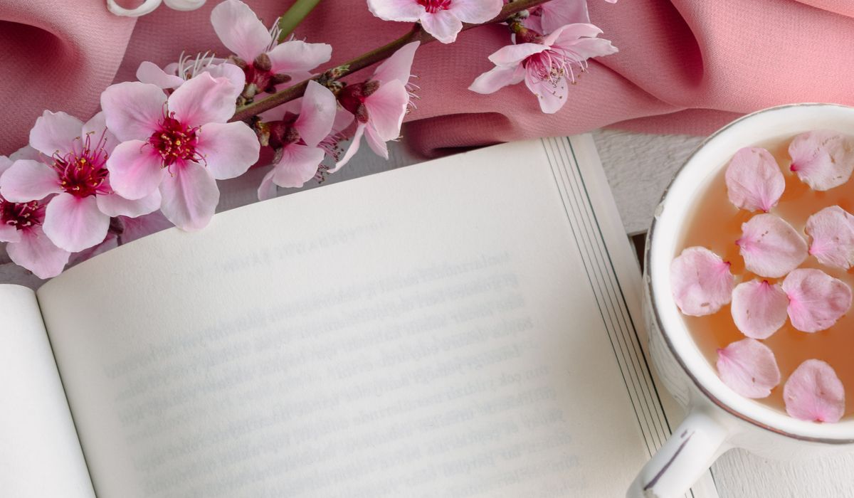 What to Look for in a Second-Hand Book